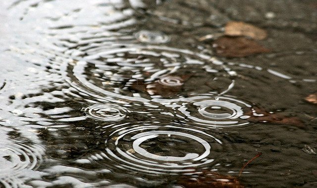 Several water drops hitting a pond surface, resulting in circular ripples