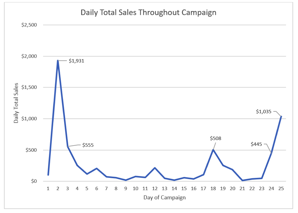 daily total sales throughout crowdfunding campaign