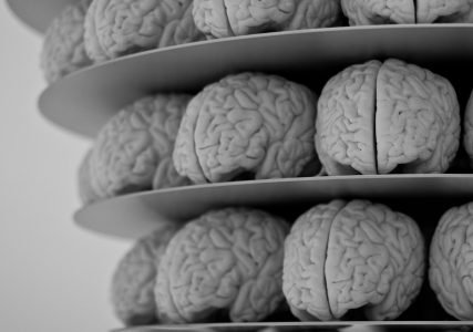 Image: sculptures of human brains, arranged in tiers on circular platforms