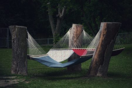 Image: three tree stumps in a triangle, supporting hammocks