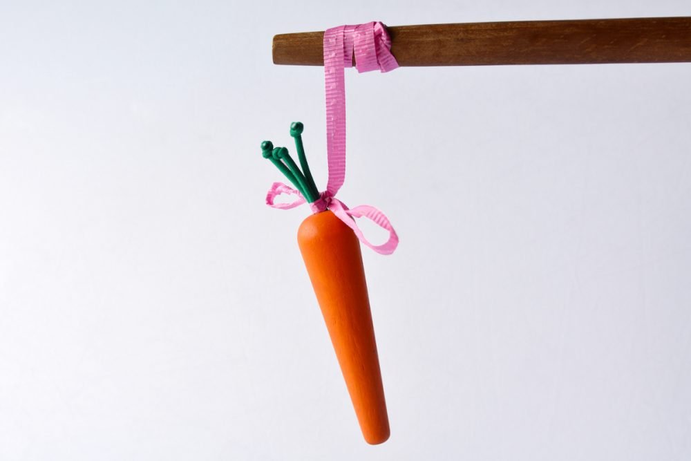 Image: wooden stick with a carrot hanging from the tip.
