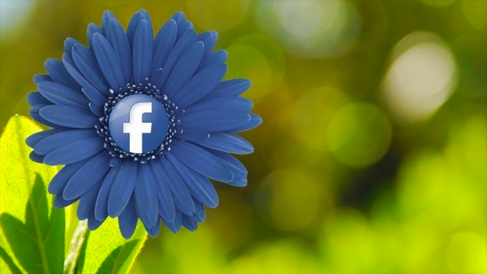 Image: blue flower with the Facebook "F" logo at the center.