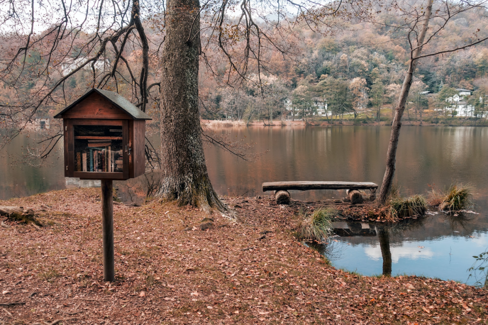 Obrázek: Krabička Little Free Library na sloupku poblíž okraje jezera v pozdním podzimu.