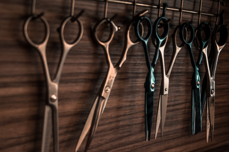 Image: several pairs of barber's scissors hang on a wooden wall