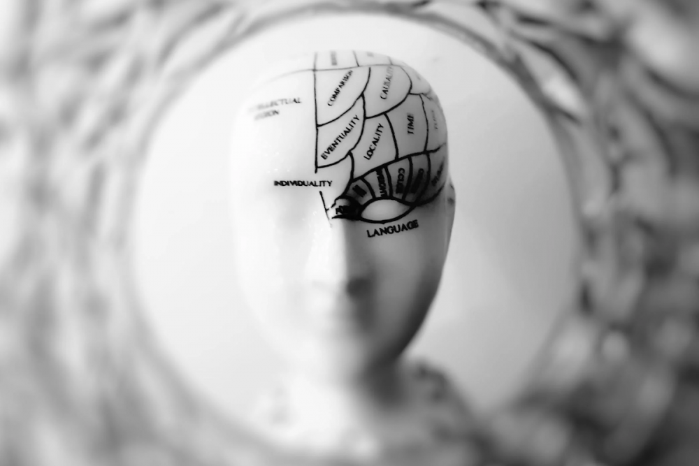 Image: a white porcelain head painted with black lines indicating which areas of the brain control cognitive functions.