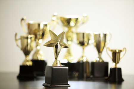 Image: on a table top, a miniature trophy of a gold star sits in front of other miniature cup-shaped trophies.