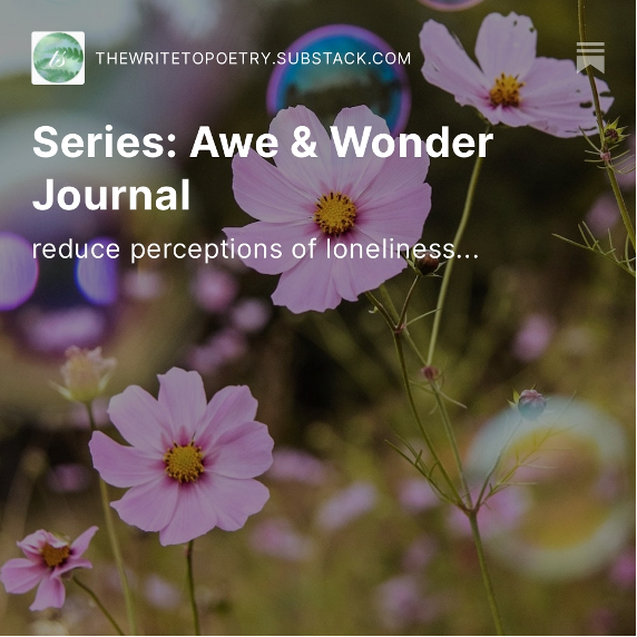 Image: a square promotional image created by Substack to promote an author's post. The name of the Substack account appears at the top, along with the post's title and subtitle, all overlaid on an image of wildflowers which was used in the original post.